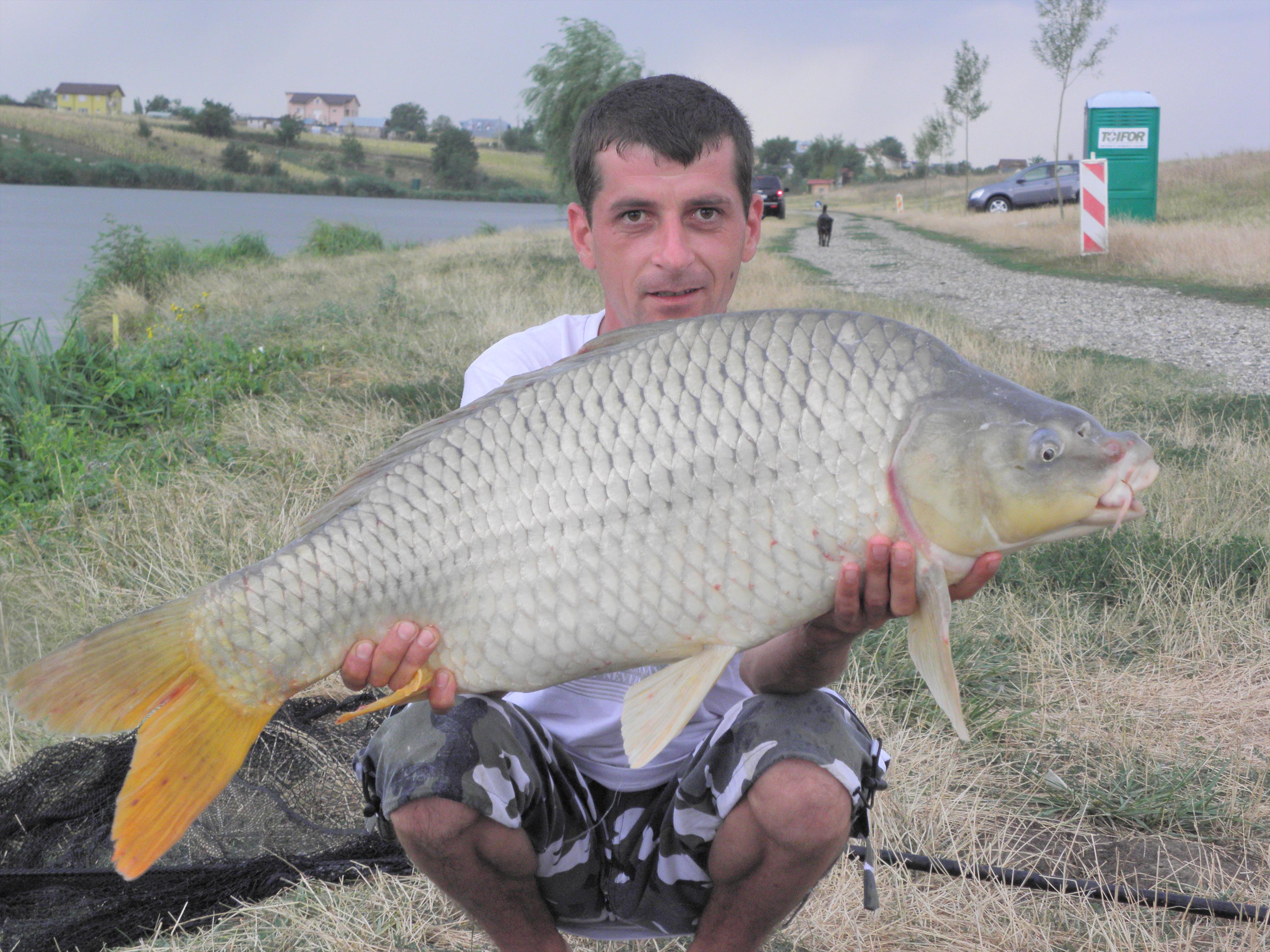 Capturi 2012 - P8100854.JPG